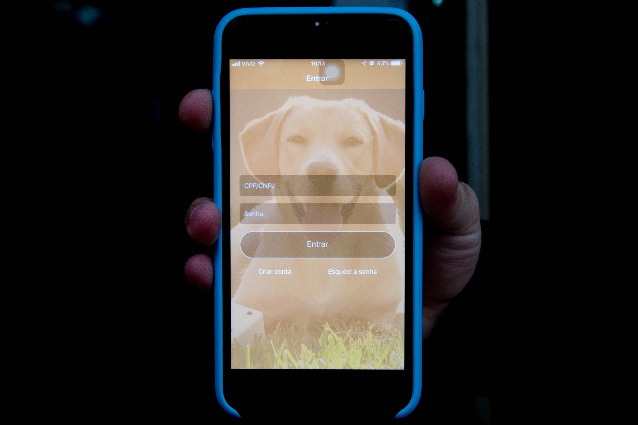 APP para castração aprova 407 procedimentos em Maringá