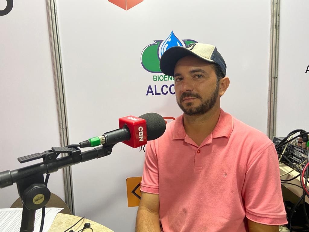 Criado no Brasil há mais de 30 anos, ovino da raça Suffolk se destaca pela qualidade da carne