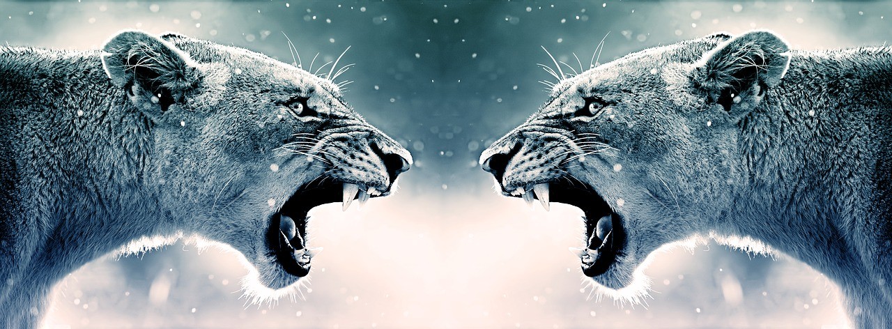 Radicalismo desnecessário