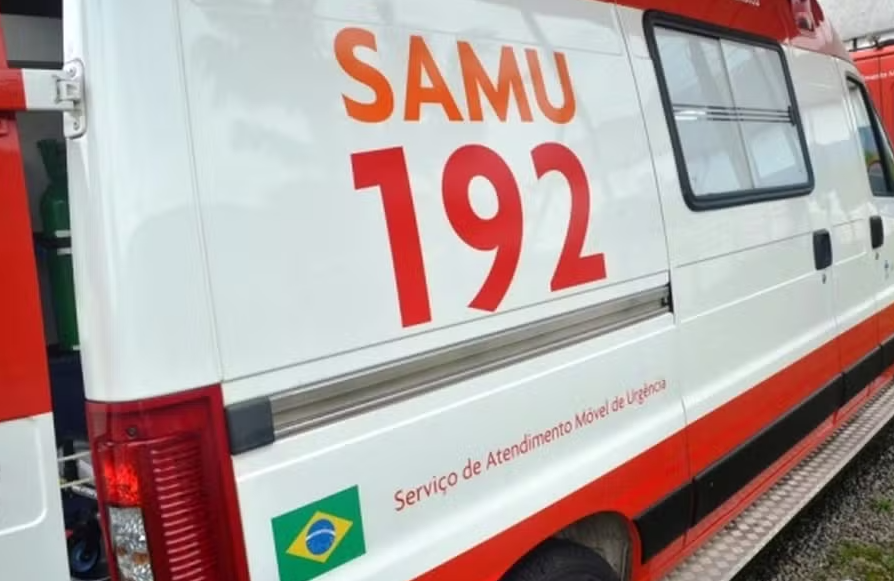 Bebê é atacado por pitbull e fica gravemente ferido