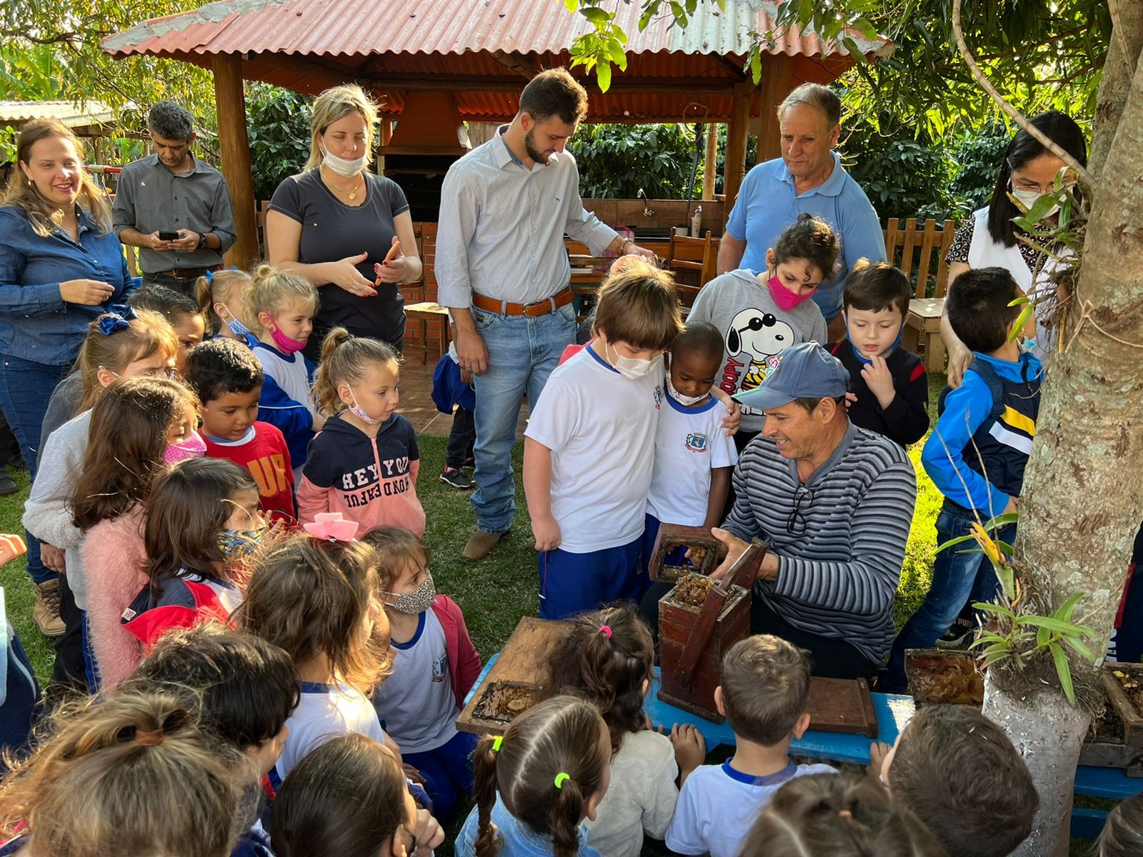 Projeto aproxima crianças das abelhas em Marialva