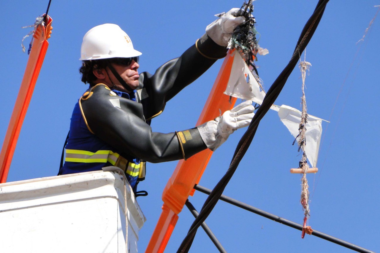 Mutirão de limpeza na rede elétrica será realizado em 23 municípios
