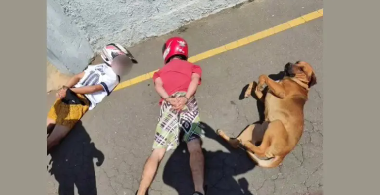 Especialista analisa comportamento de cão que deitou no chão após “ordem policial”