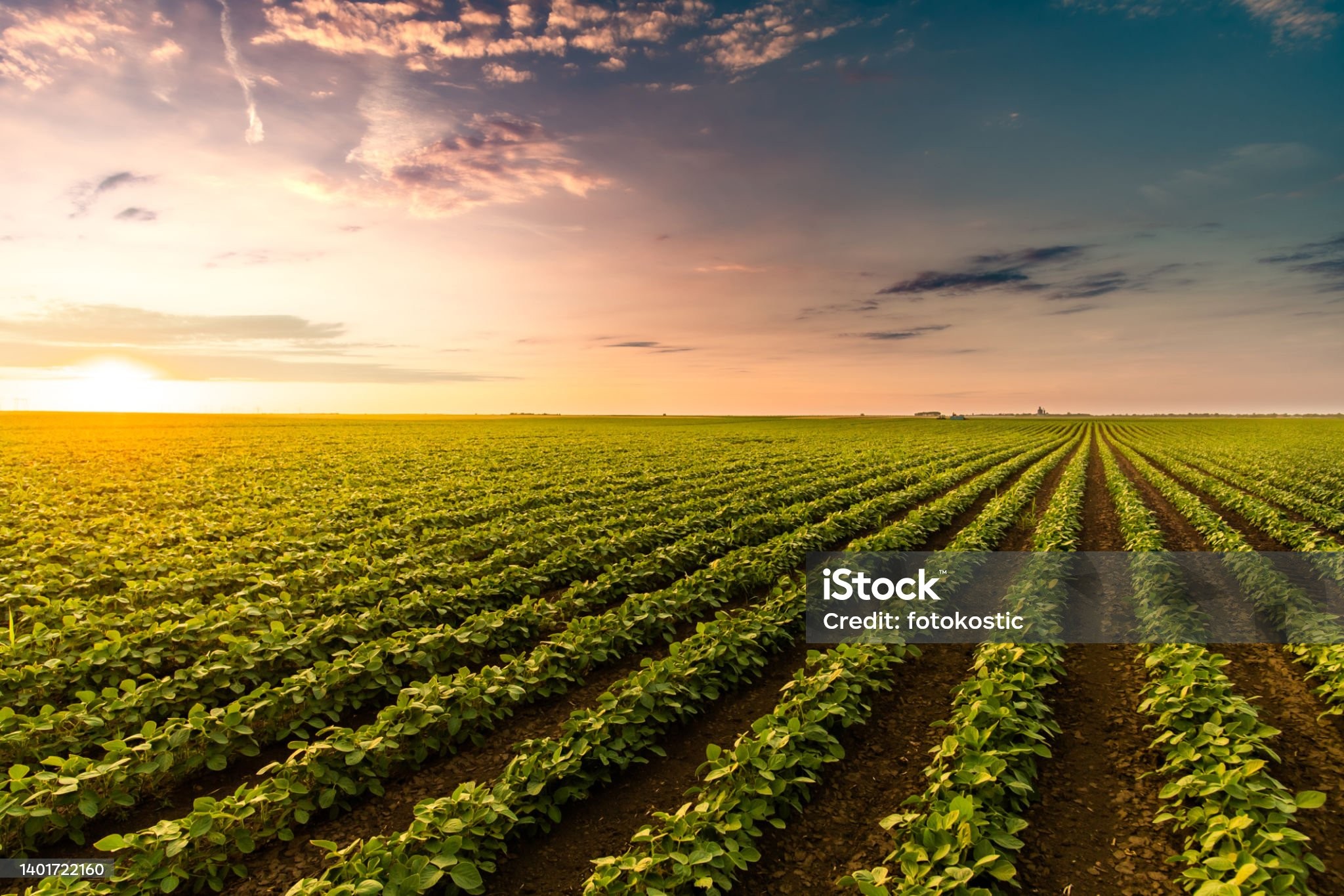 Ecossistema de Inovação da Comcam é lançado e reconhecido pelo Mapa