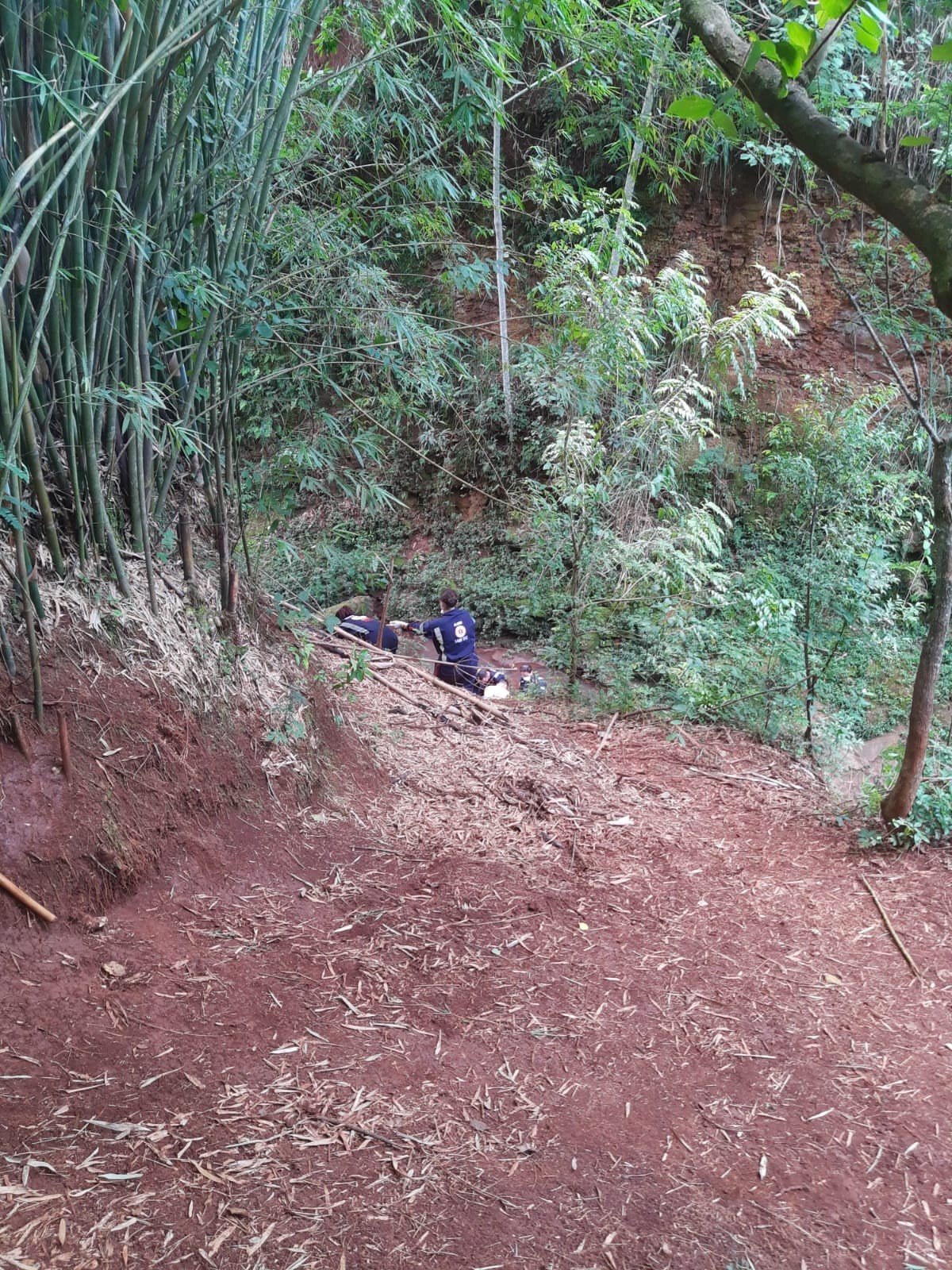 Adolescente se afoga em lago de acesso proibido no Bosque II, em Maringá