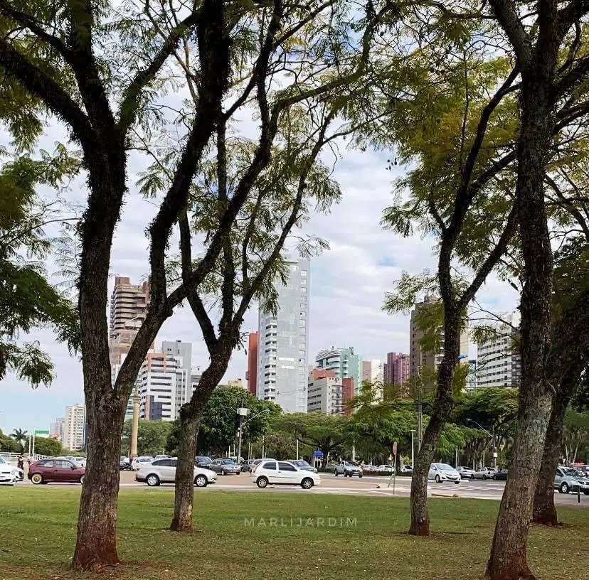 Tempo segue parcialmente nublado nesta quinta, mas calor predomina em Maringá