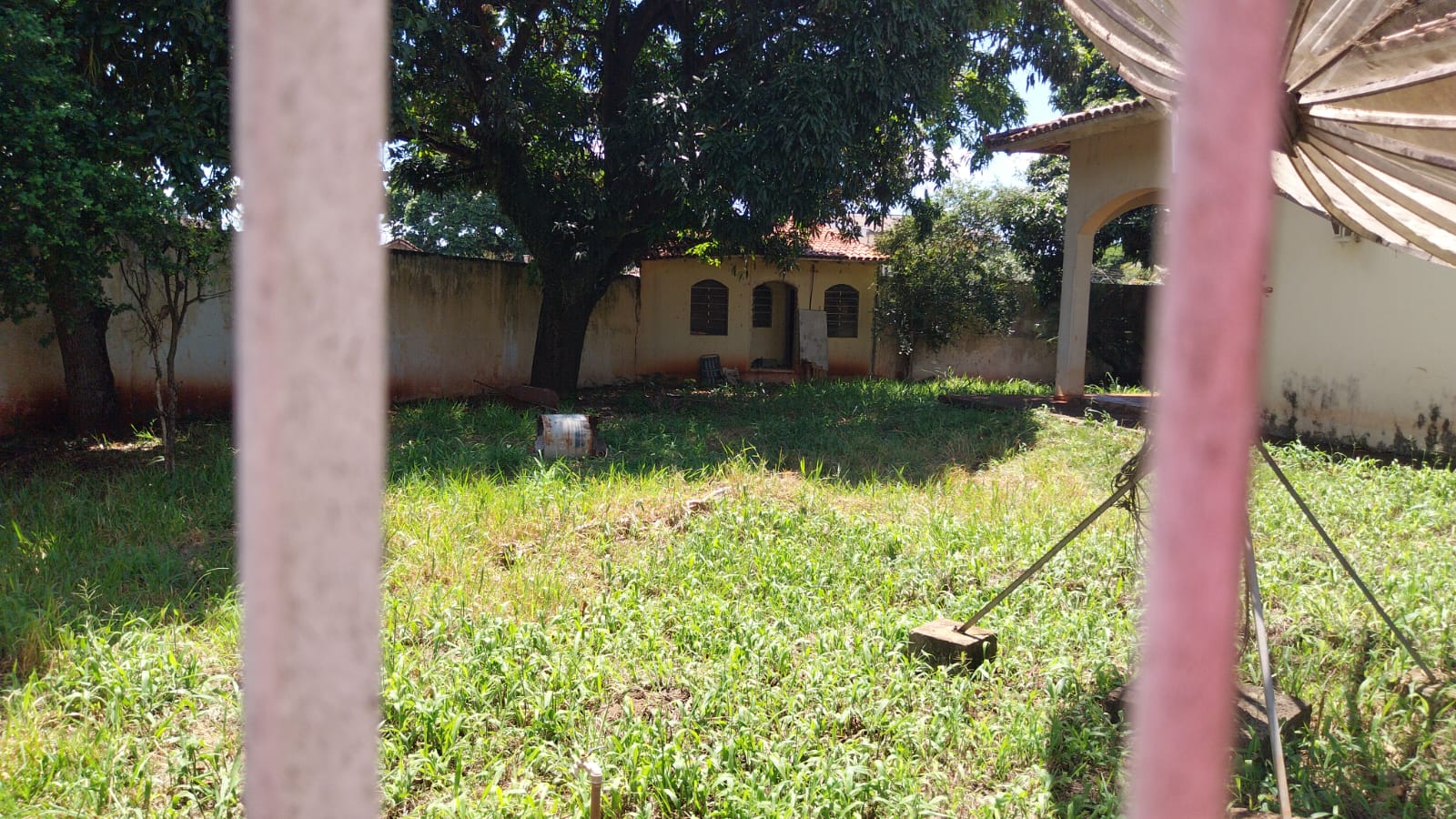 Foto: Luciana Peña/CBN Maringá.