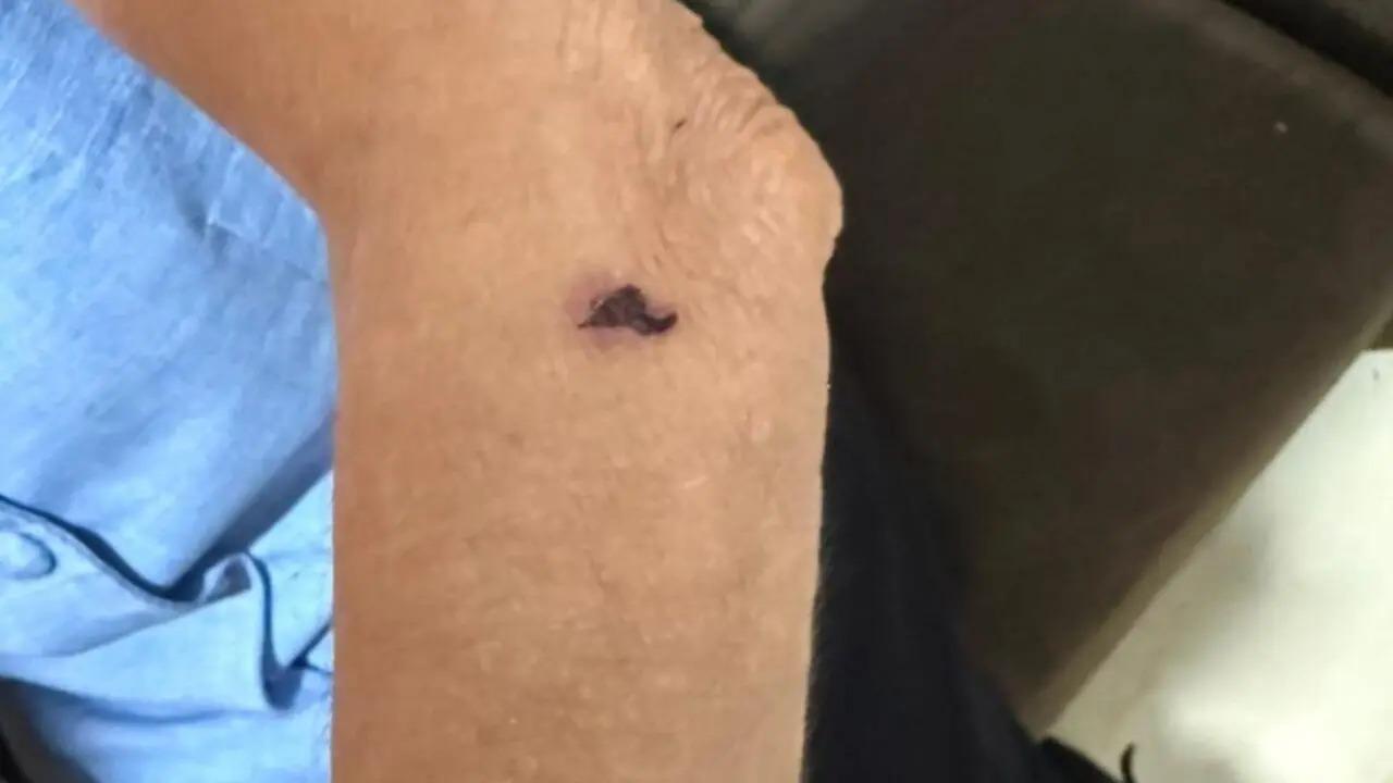 Mulher é presa por agredir e manter mãe idosa em cárcere privado na região