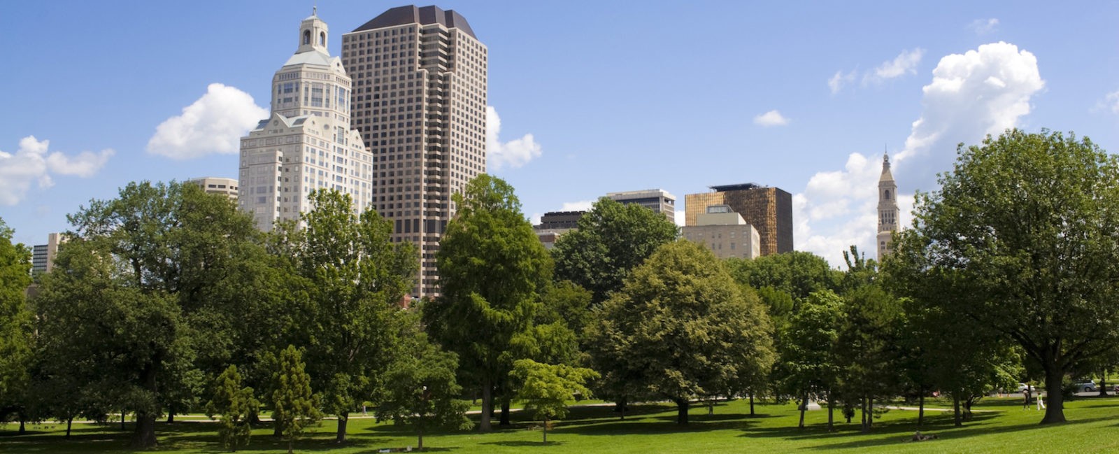 Cientistas defendem ideia de árvores urbanas como estratégia para melhoria da saúde pública