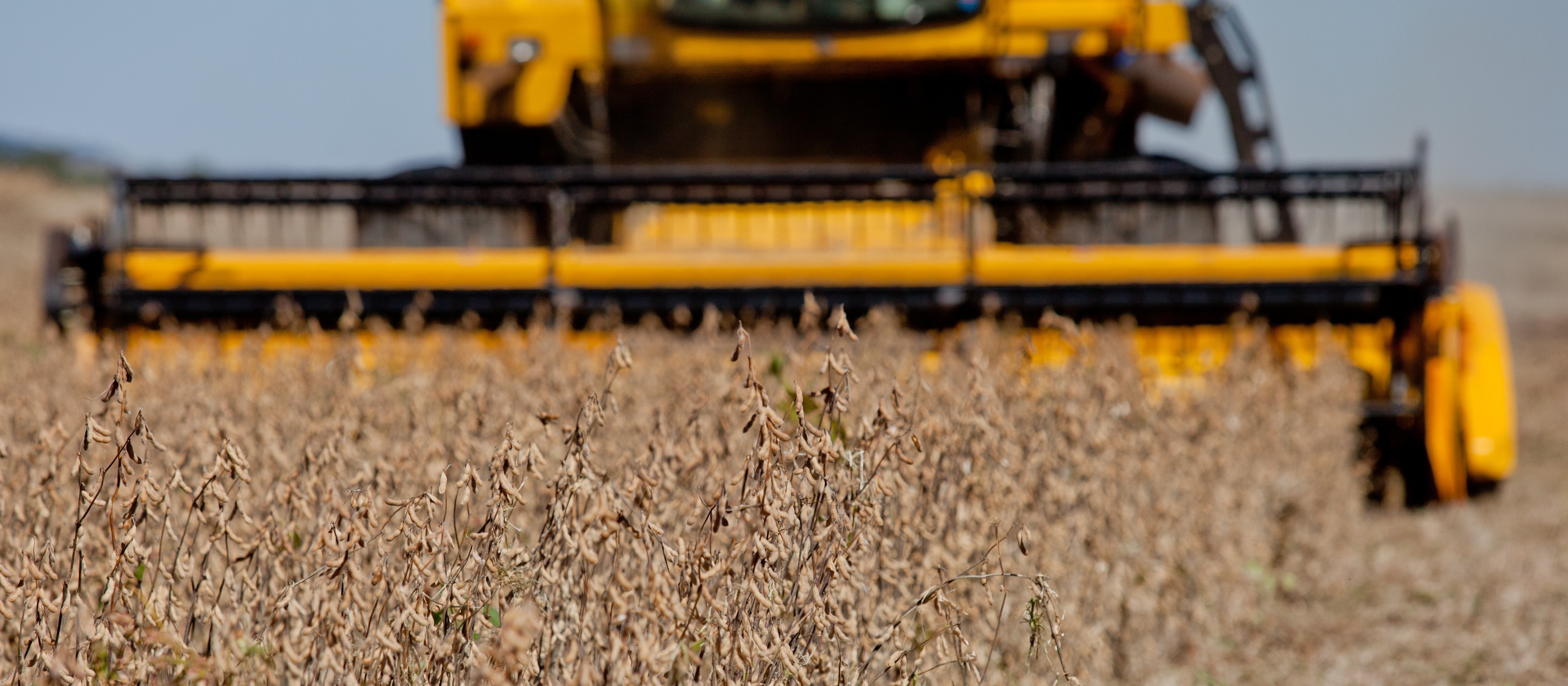 Soja custa R$ 70 a saca em Maringá