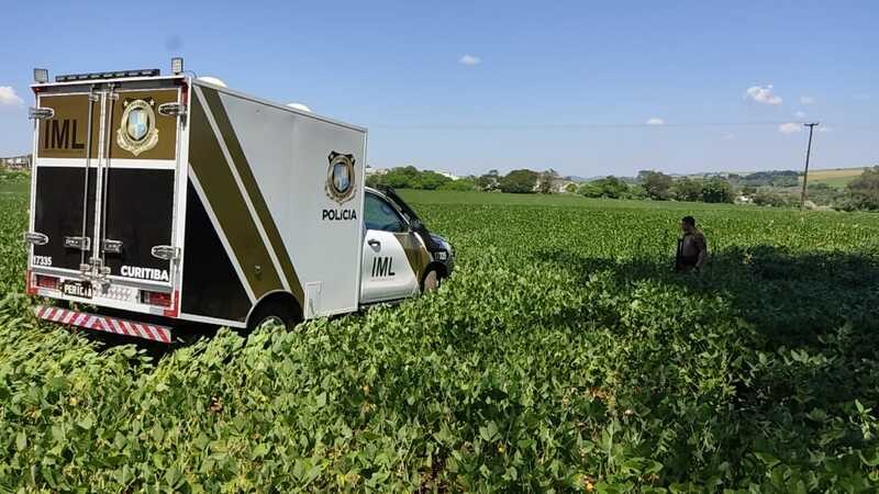 Corpo de homem é encontrado em plantação de soja em Paiçandu