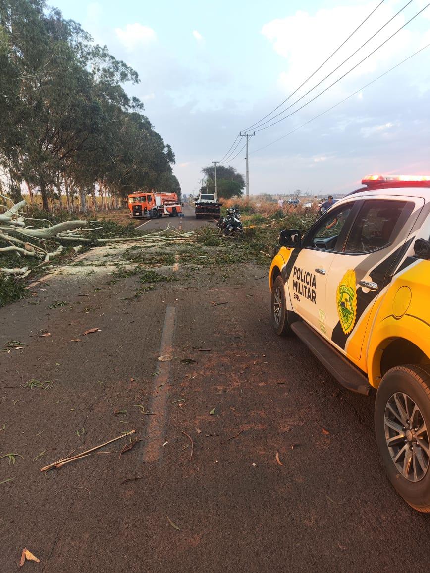 Motociclista é atingida por árvore e morre na PR-180