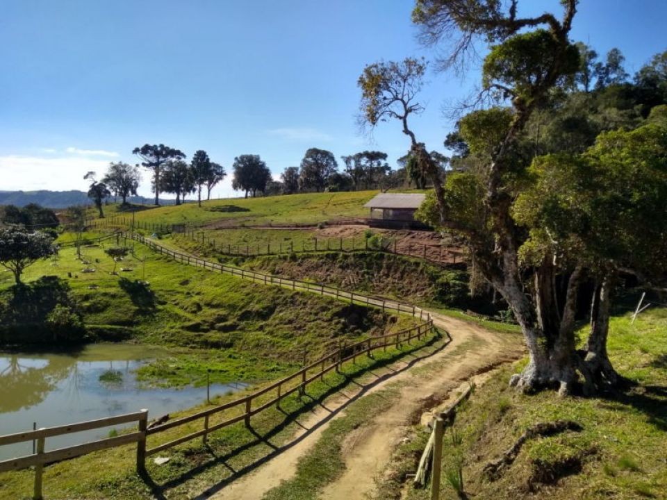 Turistas descobriram opções de lazer mais próximo de casa na pandemia