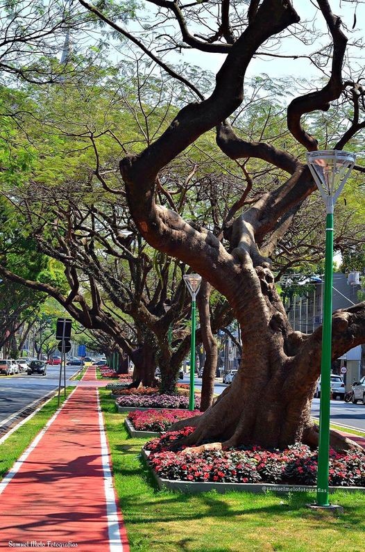 Quinta-feira será de tempo instável em Maringá