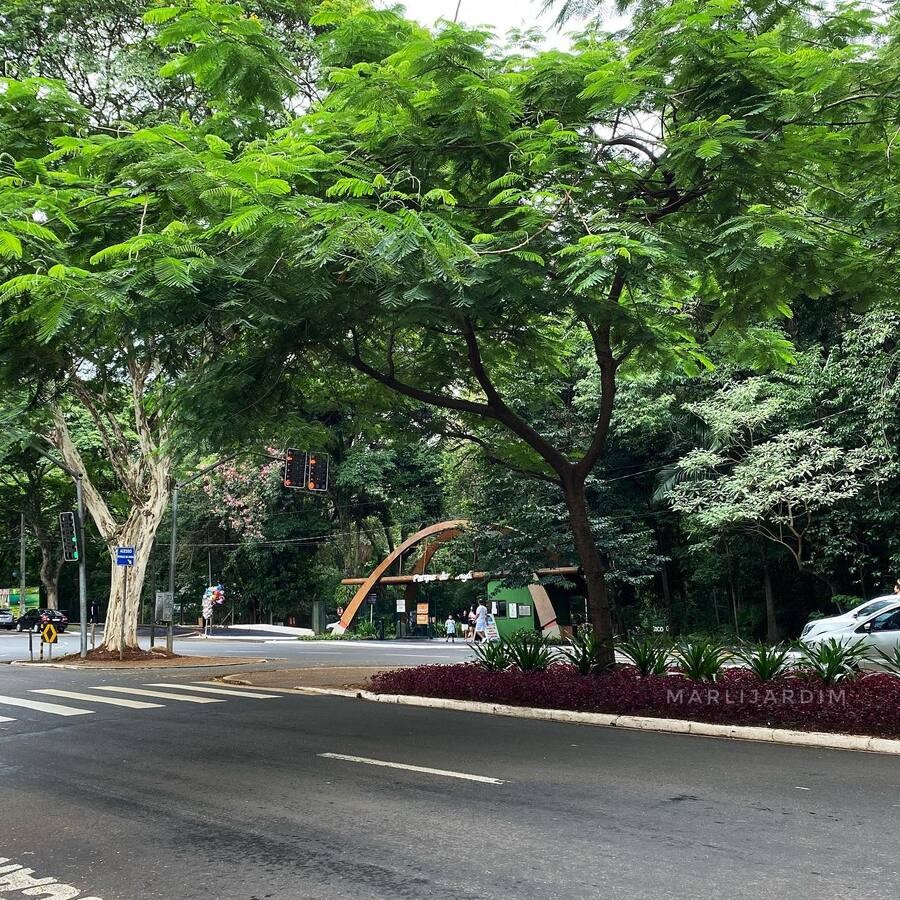 Sábado de tempo instável e máxima de 26ºC em Maringá