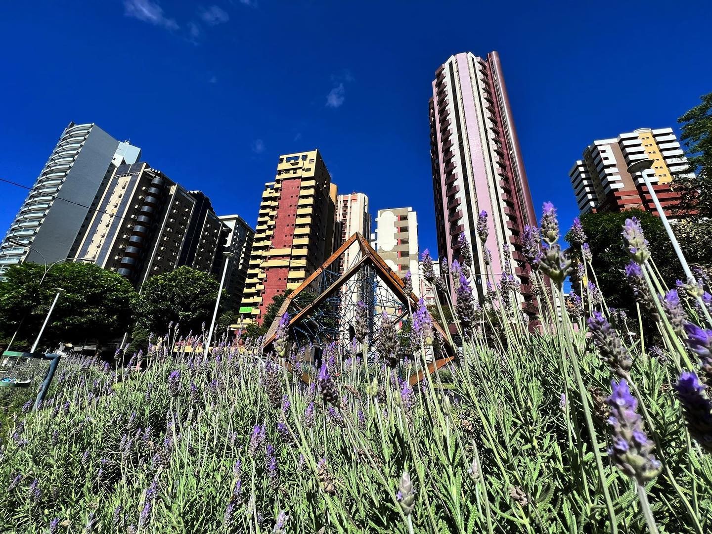 Maringá tem quarta-feira ensolarada e com calor à tarde, indica previsão
