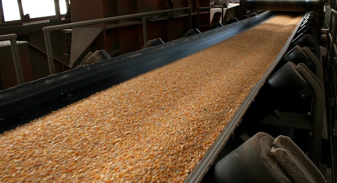 Embarques de milho em agosto poderão superar os de julho