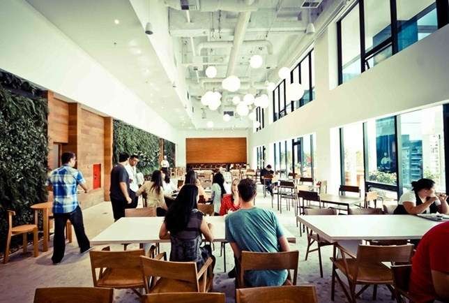 Em 5 anos, Google evitou descarte de 3 mil toneladas de alimentos de seus refeitórios