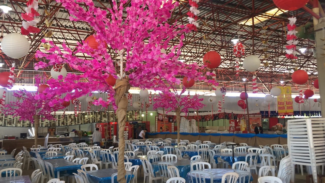 Festival começa nesta quinta-feira (6)