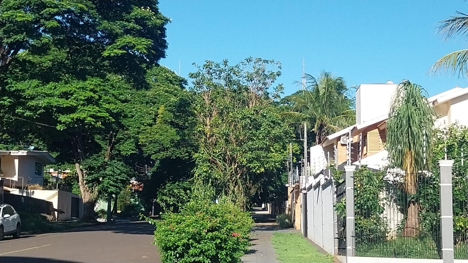 Confira o tempo e a temperatura neste domingo (5) em Maringá
