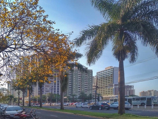 Com mínima de 11ºC, quinta-feira amanhece gelada em Maringá