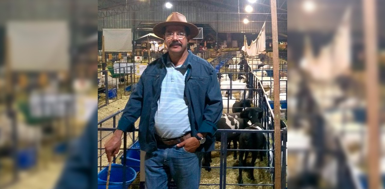 Zootecnia cuida da gestão e do planejamento pecuário nacional