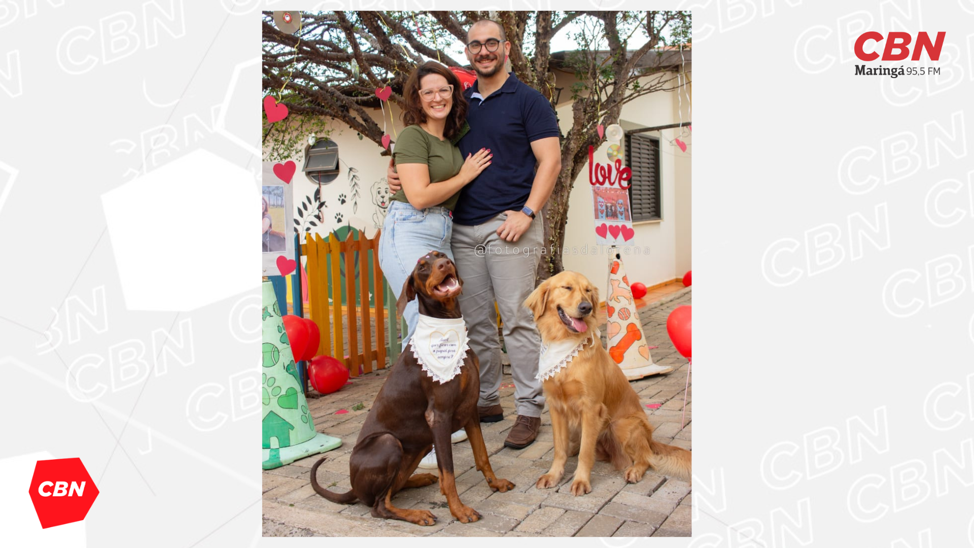 Noivo pede noiva em casamento em creche para pets