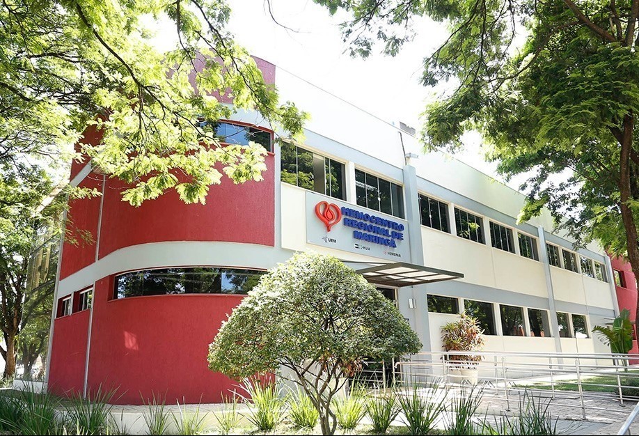 Hemocentro de Maringá precisa de mais de mil doadores por mês
