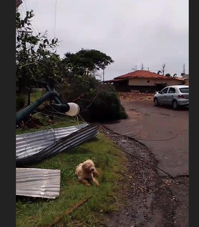 Temporal arrancou postes em Piquirivaí distrito de Campo Mourão