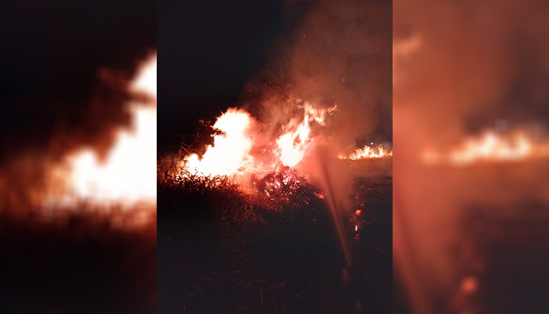 Incêndio em vegetação quase atinge hospital de Paranavaí