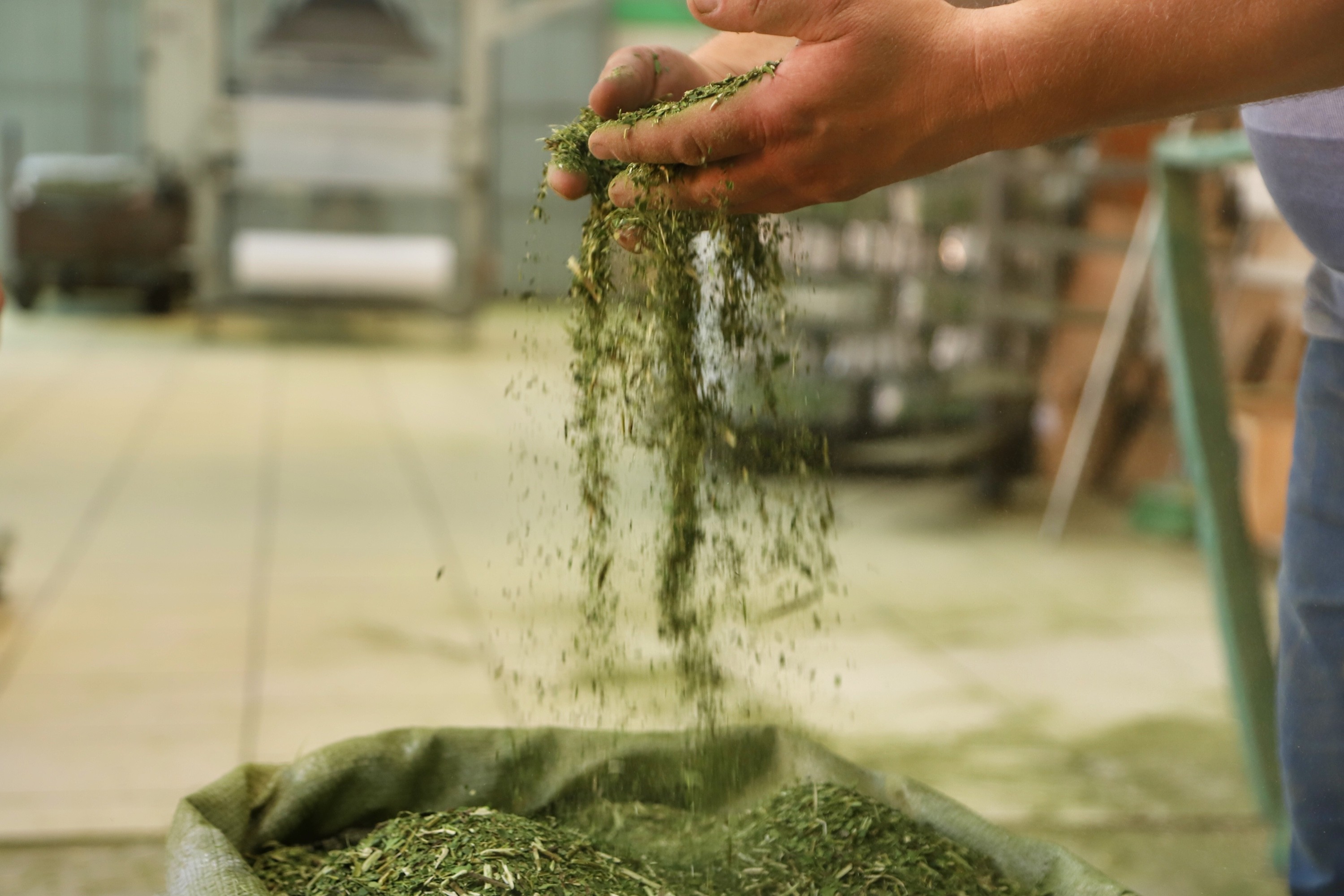 Paraná está entre os estados com maior número de produtos certificados