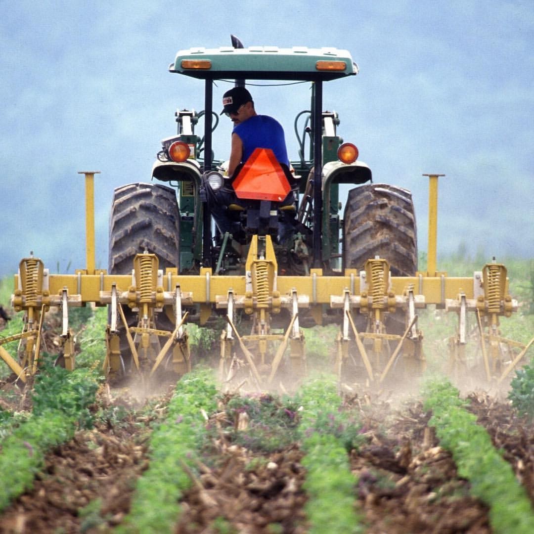 Produtores rurais poderão ter o CAD/PRO cancelado a partir de 11 de julho
