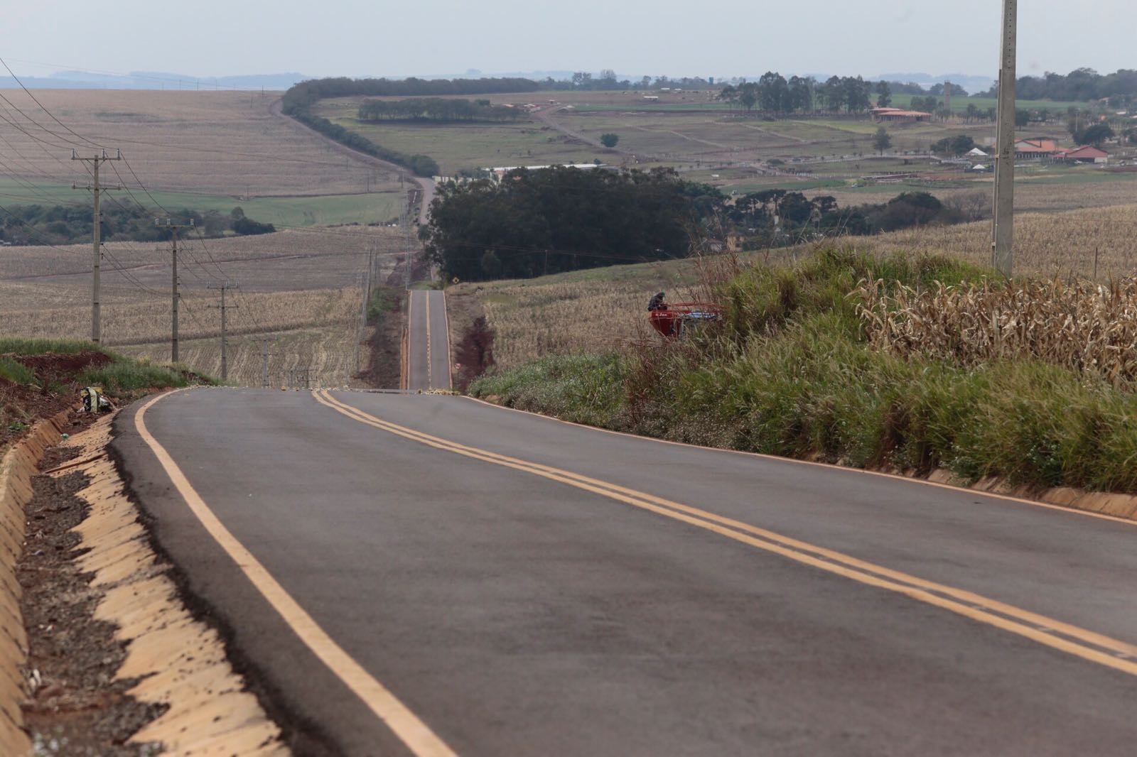Paisagismo em antiga estrada de Maringá estimula o turismo rural