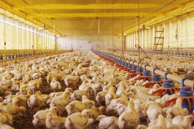 Copel prorroga desconto na energia consumida por produtores rurais do Paraná