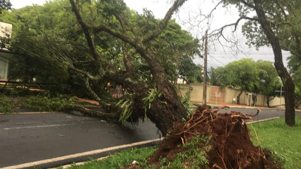 Uma pessoa morreu e duas ficaram feridas durante temporal no Paraná