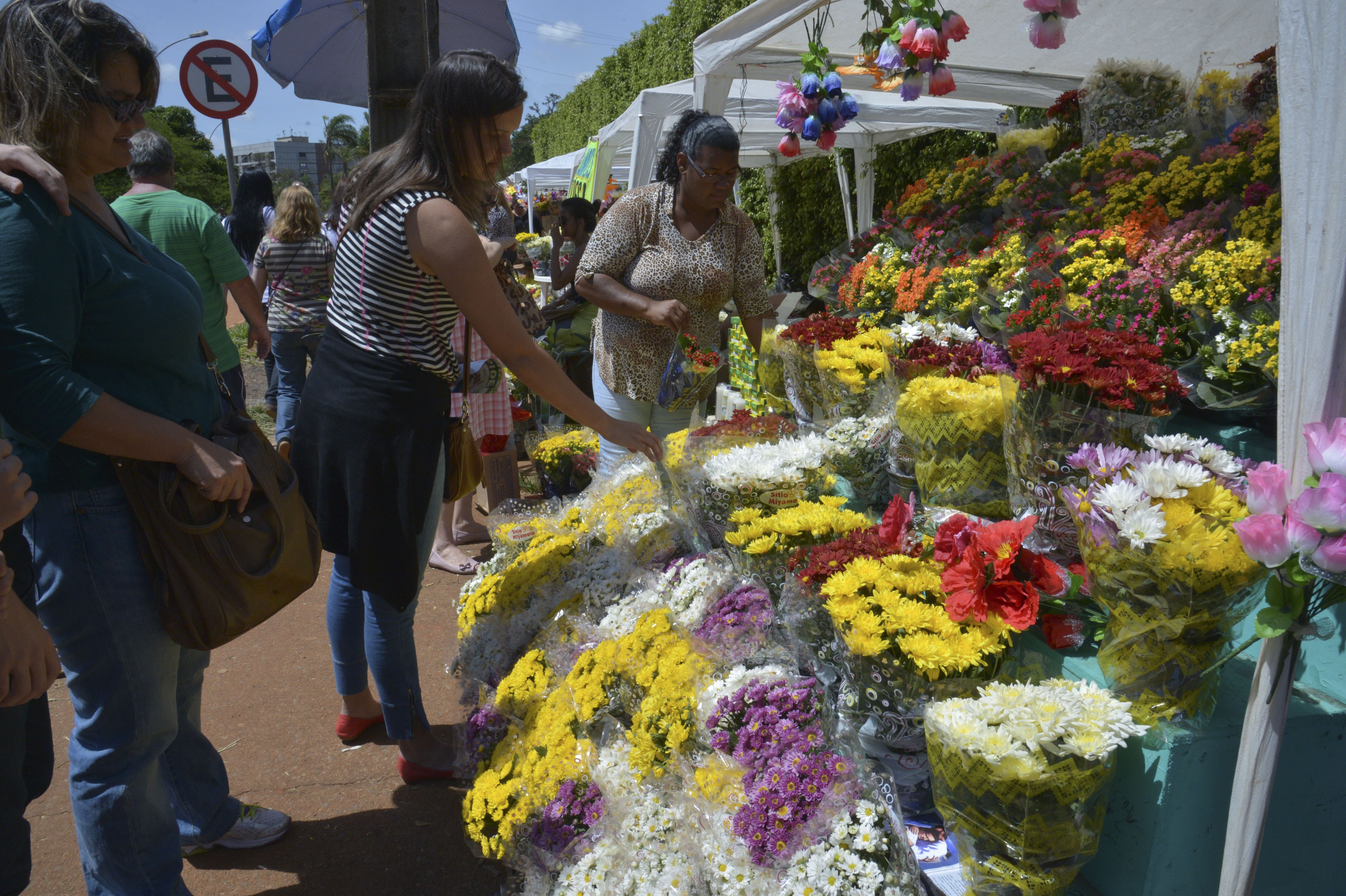 Primeiro Dia de Finados do período pós pandemia deve apresentar aumento nas vendas de flores