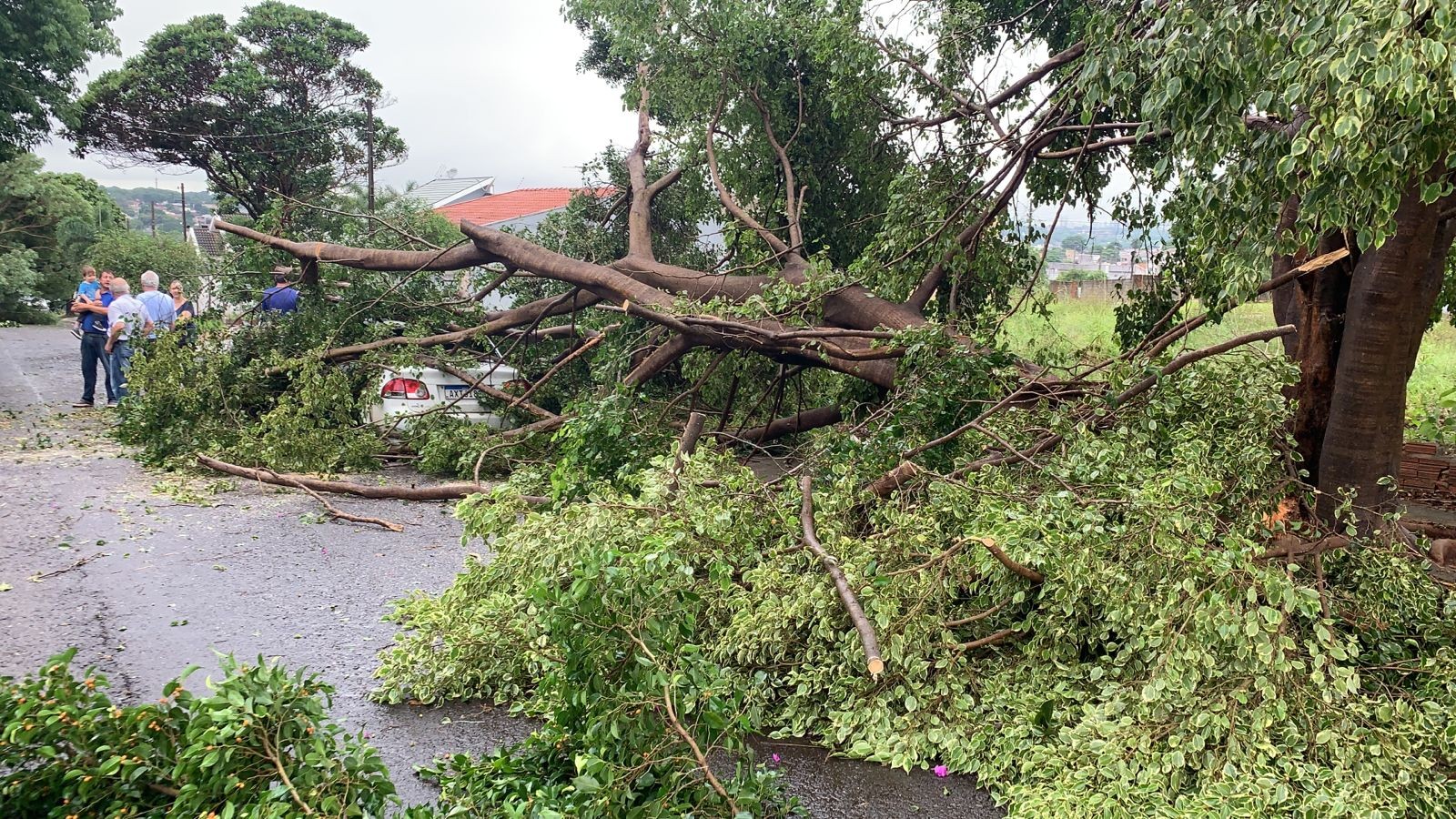 7.500 imóveis ficaram sem energia em Maringá nesta quinta-feira (7)