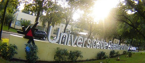 Câmara de Graduação aprova retorno das aulas de forma remota na UEM