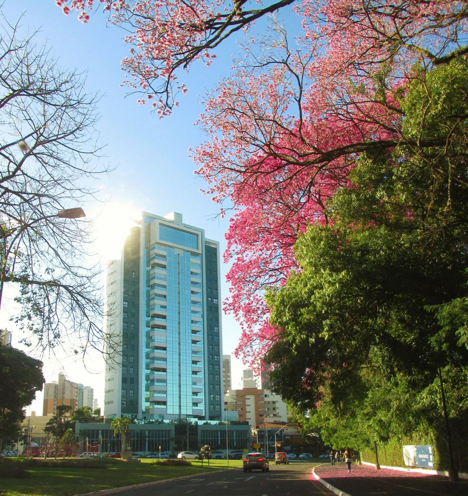 Tempo segue estável neste sábado (9) e Maringá tem máxima de 27°C
