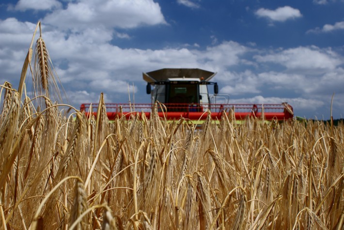 Os impactos do coronavírus no agronegócio paranaense