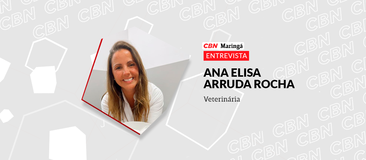 Humanização de pets causa estresse e mal-estar