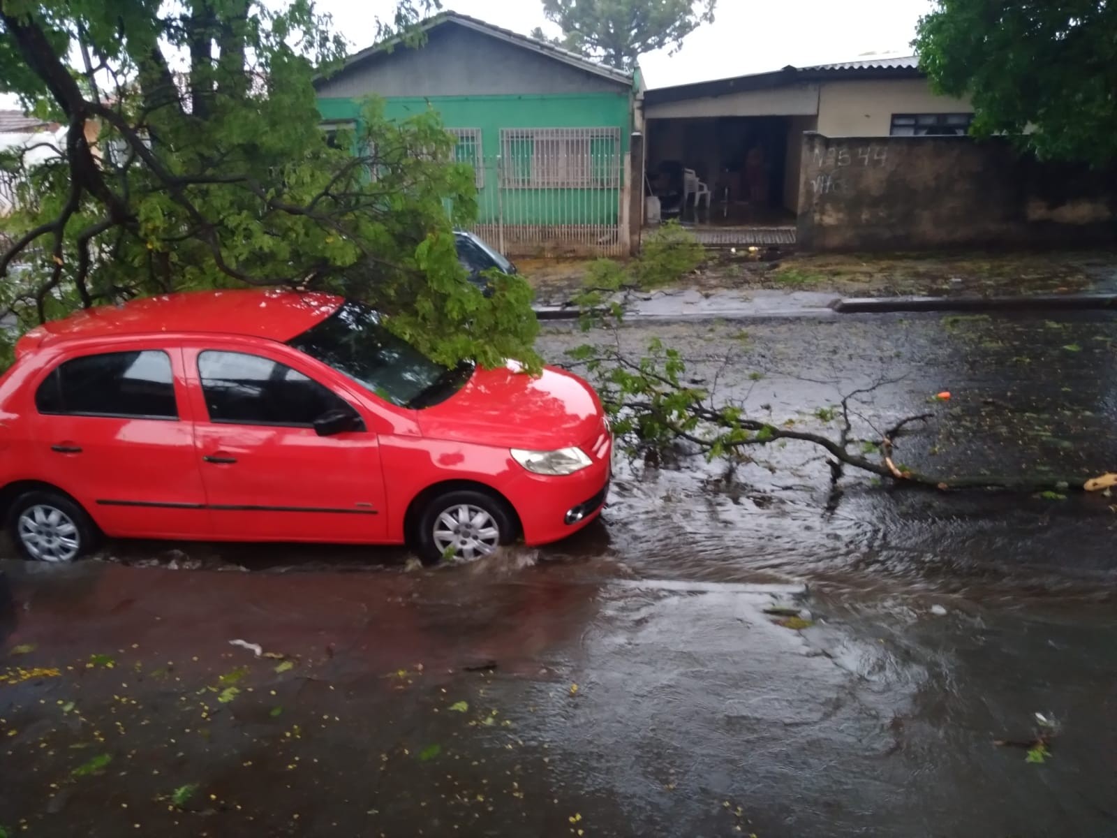 Temporal derrubou 119 árvores em Maringá