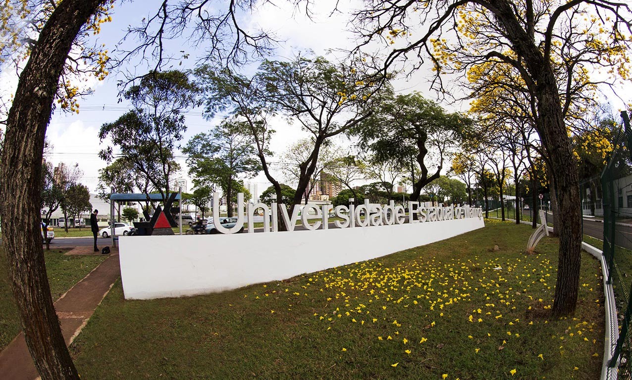 Comitê envia proposta ao conselho deliberativo sobre retorno das aulas presenciais na UEM