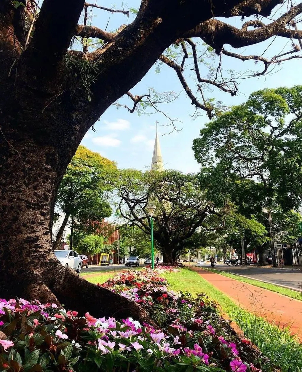 Quarta-feira (19) quente e com possibilidade de chuva em Maringá