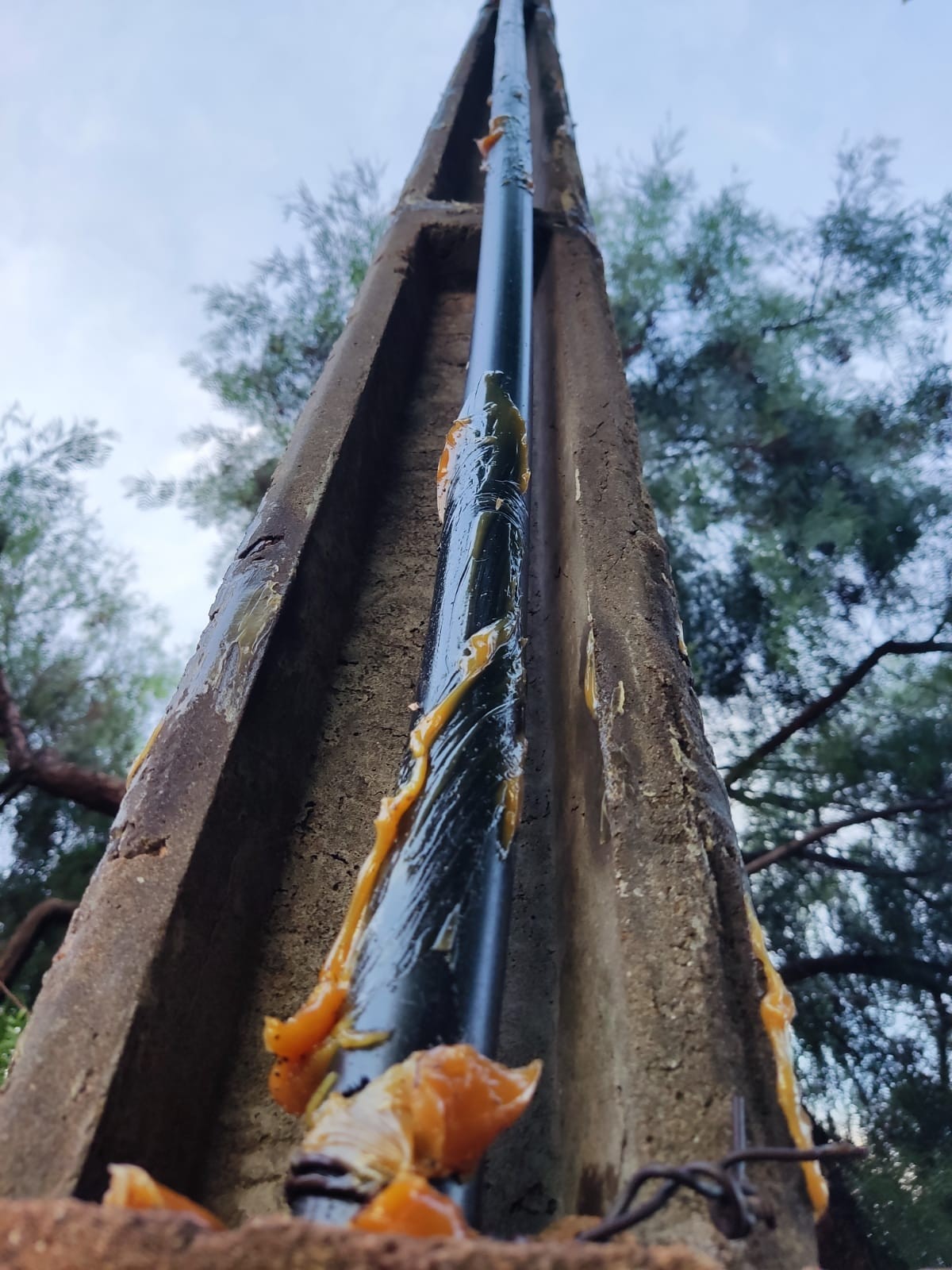 Padre engraxa poste para evitar furto de fiação elétrica de Igreja