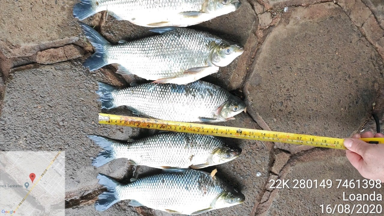 Três pescadores são presos na Operação Hórus