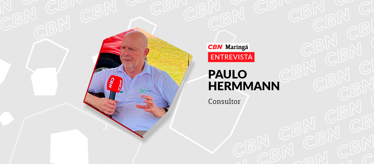 País pode produzir 400 milhões de toneladas de grãos sem cortar uma árvore