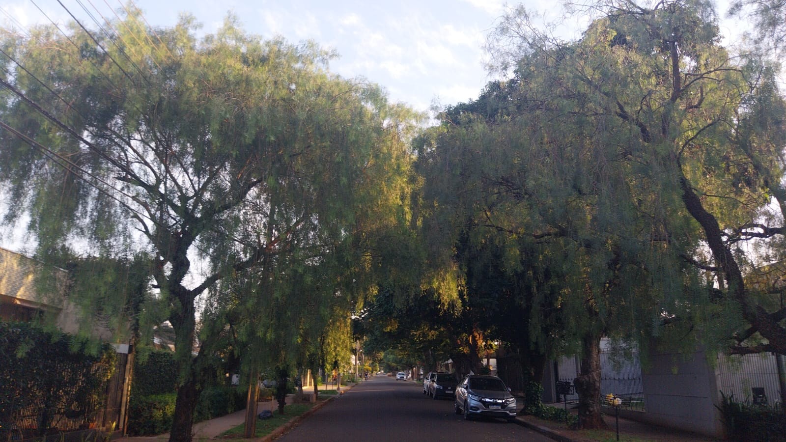 Confira a previsão do tempo para este sábado (27)