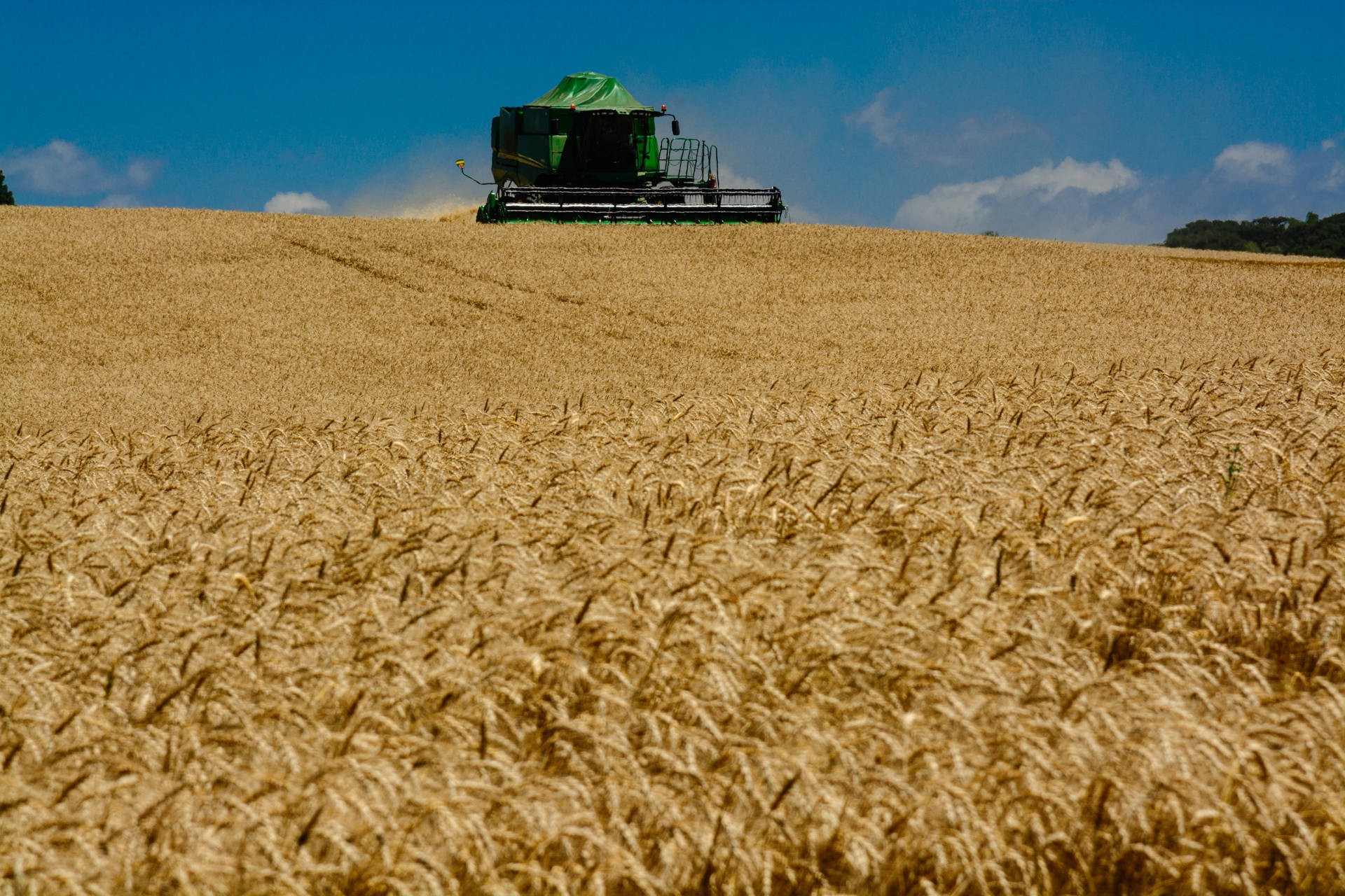 VBP deve atingir R$ 602 bilhões em 2019