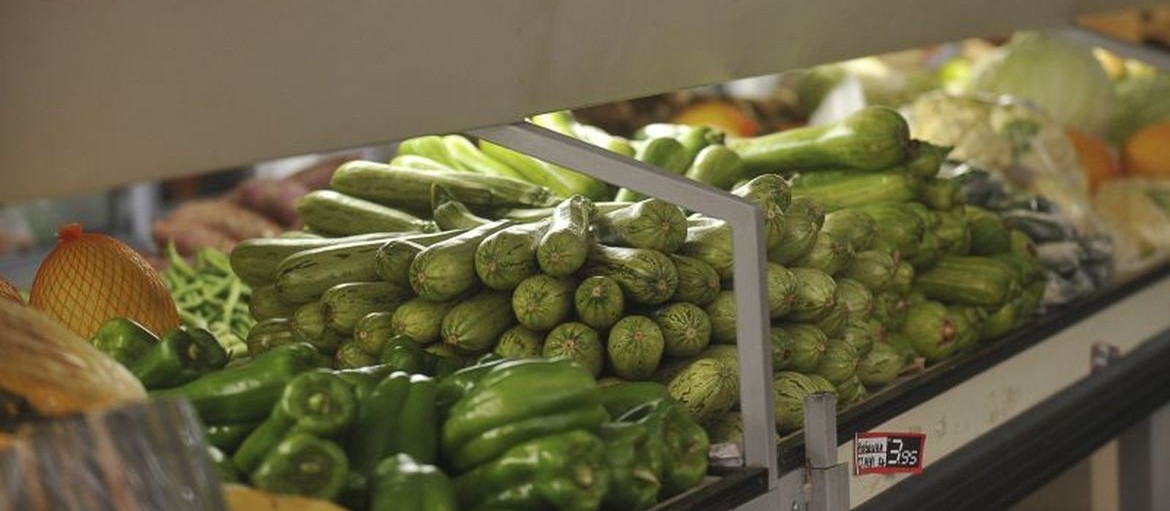 Excesso de chuva dificulta a colheita de hortaliças